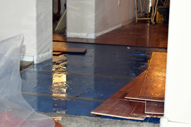 Professional Sewage Cleanup technician working in Delmont, SD